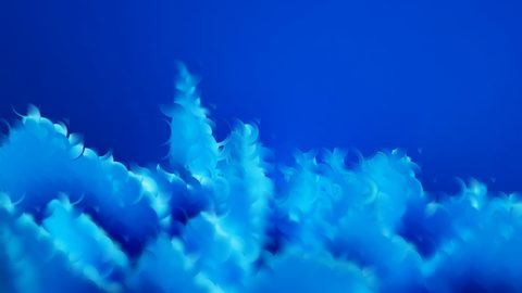 Abstract Desktop Wallpaper