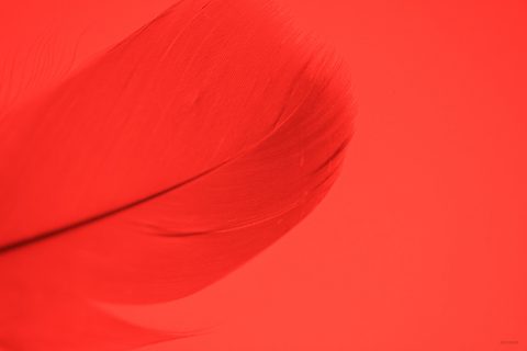 Abstract Desktop Wallpaper