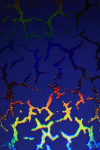 Abstract Phone Wallpaper