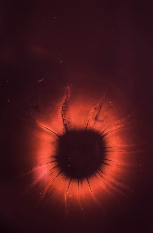 Abstract Phone Wallpaper