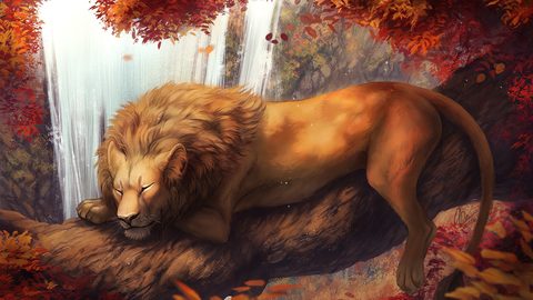 Animals Wildlife Nature
