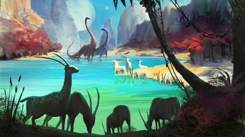 Animals Wildlife Nature