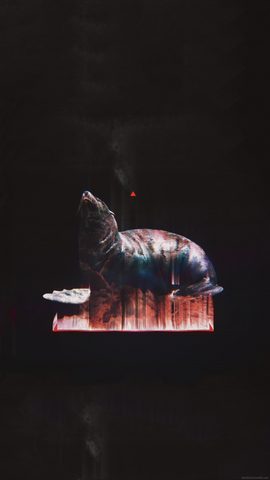 Animals Phone Wallpaper
