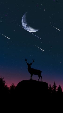 Animals Phone Wallpaper