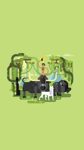 Animals Phone Wallpaper