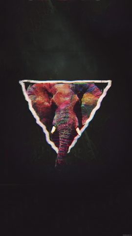 Animals Phone Wallpaper