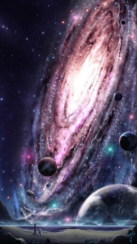 Animals Phone Wallpaper