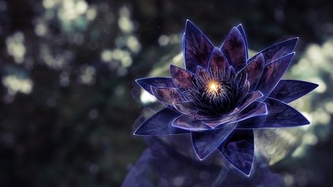 Flowers Desktop Wallpaper