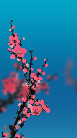 Flowers Phone Wallpaper