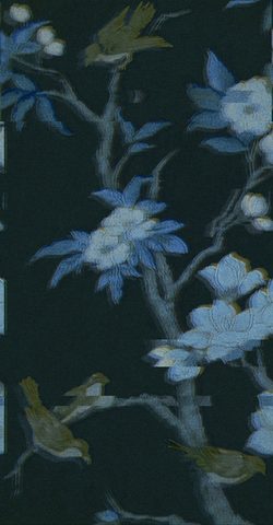 Flowers Phone Wallpaper