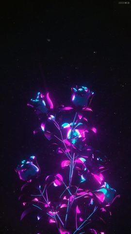 Flowers Phone Wallpaper