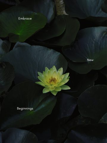 Flowers Phone Wallpaper