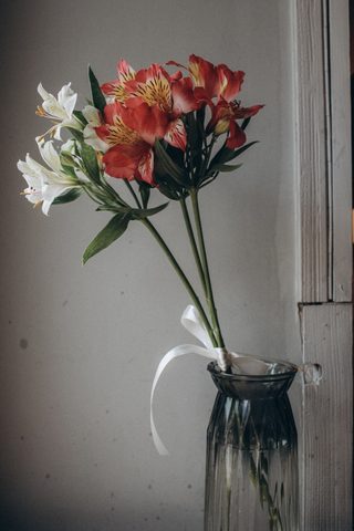 Flowers Phone Wallpaper