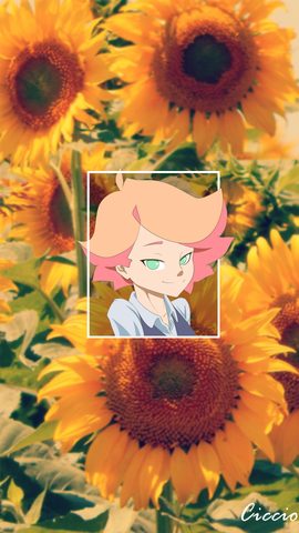 Flowers Phone Wallpaper
