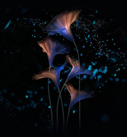 Flowers Phone Wallpaper