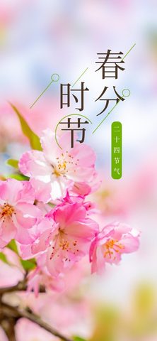Flowers Phone Wallpaper