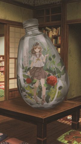 Flowers Phone Wallpaper