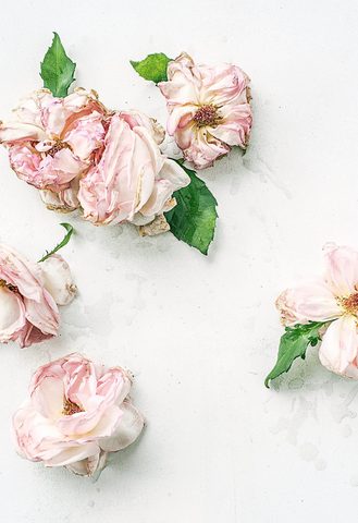 Flowers Phone Wallpaper
