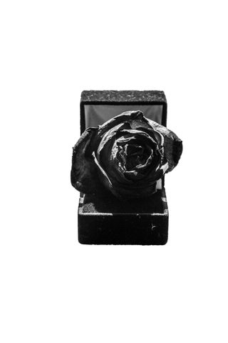 Flowers Phone Wallpaper