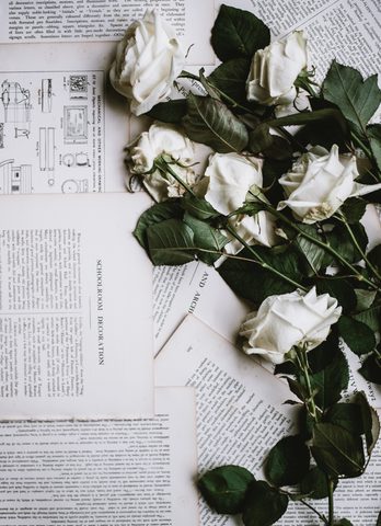 Flowers Phone Wallpaper
