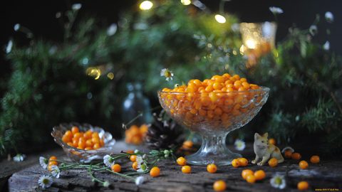 Food Desktop Wallpaper