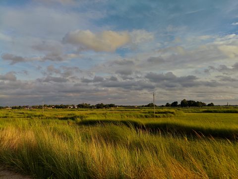 General Desktop Wallpaper