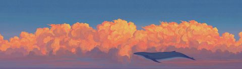 General Desktop Wallpaper