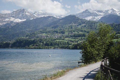 None