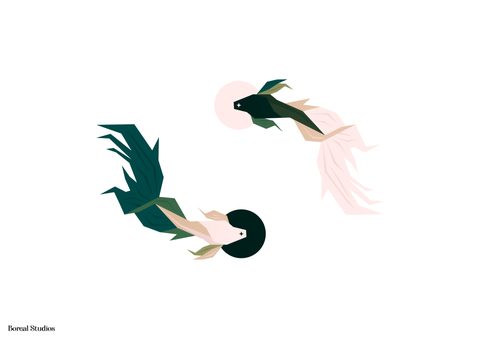 Illustration Desktop Wallpaper