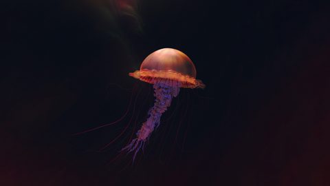 Illustration Desktop Wallpaper