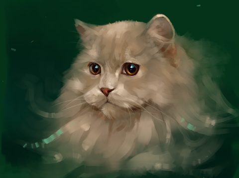 Illustration Desktop Wallpaper