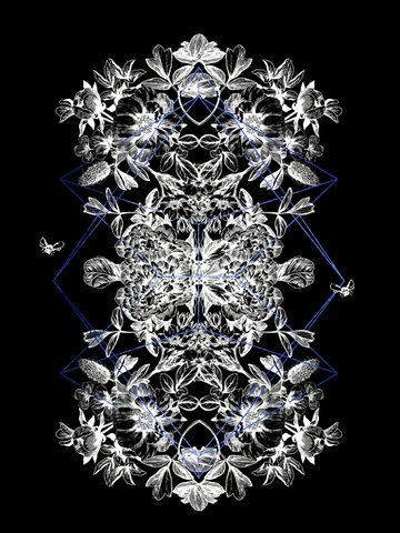 Illustration Phone Wallpaper