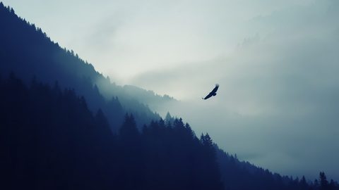 Minimal Minimalist Clean Simple