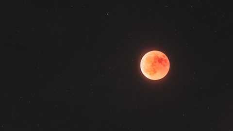 Minimal Minimalist Clean Simple