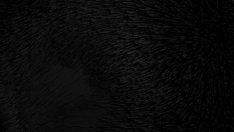 Minimal Minimalist Clean Simple