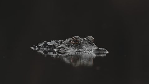 Minimal Minimalist Clean Simple