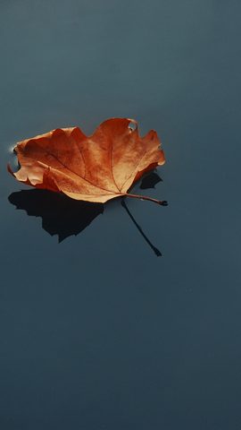 Minimal Phone Wallpaper