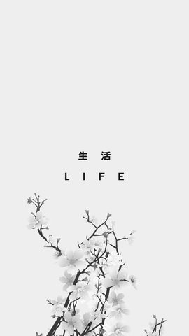 Minimal Minimalist Clean