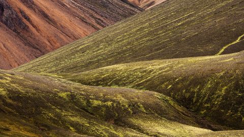 Nature Desktop Wallpaper