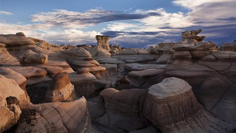 Nature Desktop Wallpaper