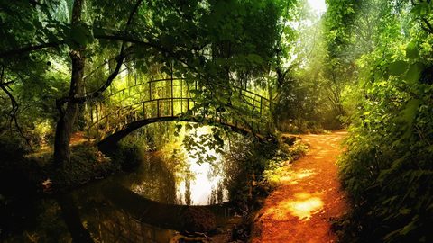 Nature Desktop Wallpaper