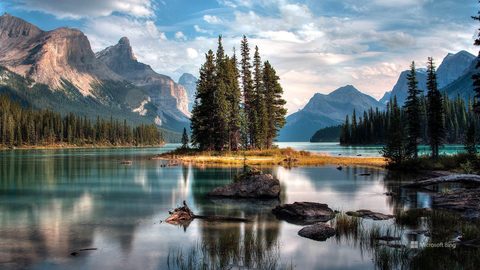 Nature Desktop Wallpaper