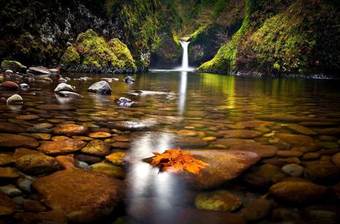 Nature Desktop Wallpaper