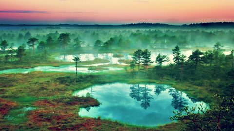 Nature Desktop Wallpaper