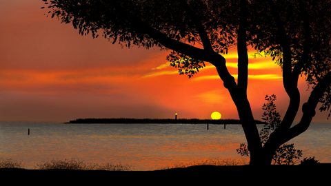 Nature Desktop Wallpaper
