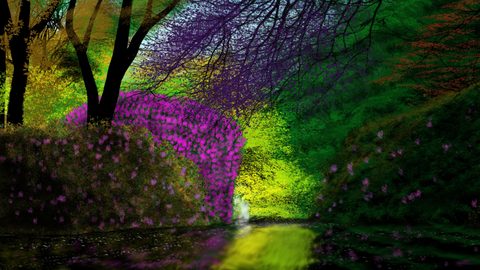 Nature Desktop Wallpaper