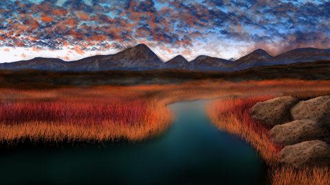 Nature Desktop Wallpaper