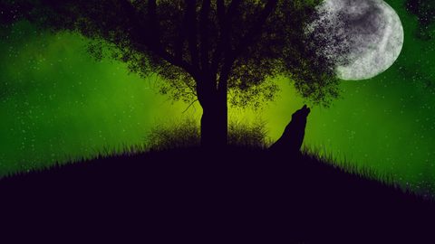 Nature Desktop Wallpaper