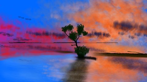 Nature Desktop Wallpaper