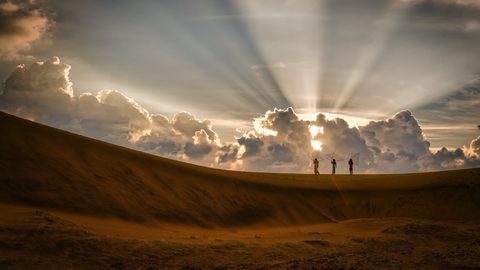 Nature Desktop Wallpaper
